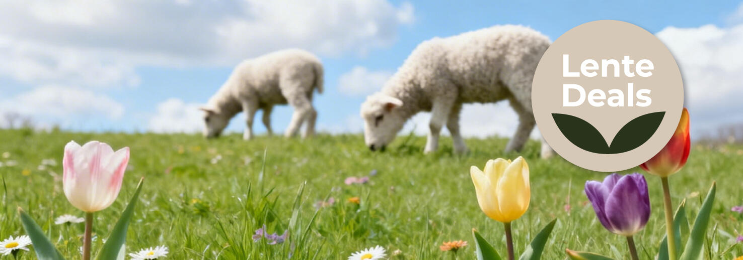 Lente achtergrond met lente deals