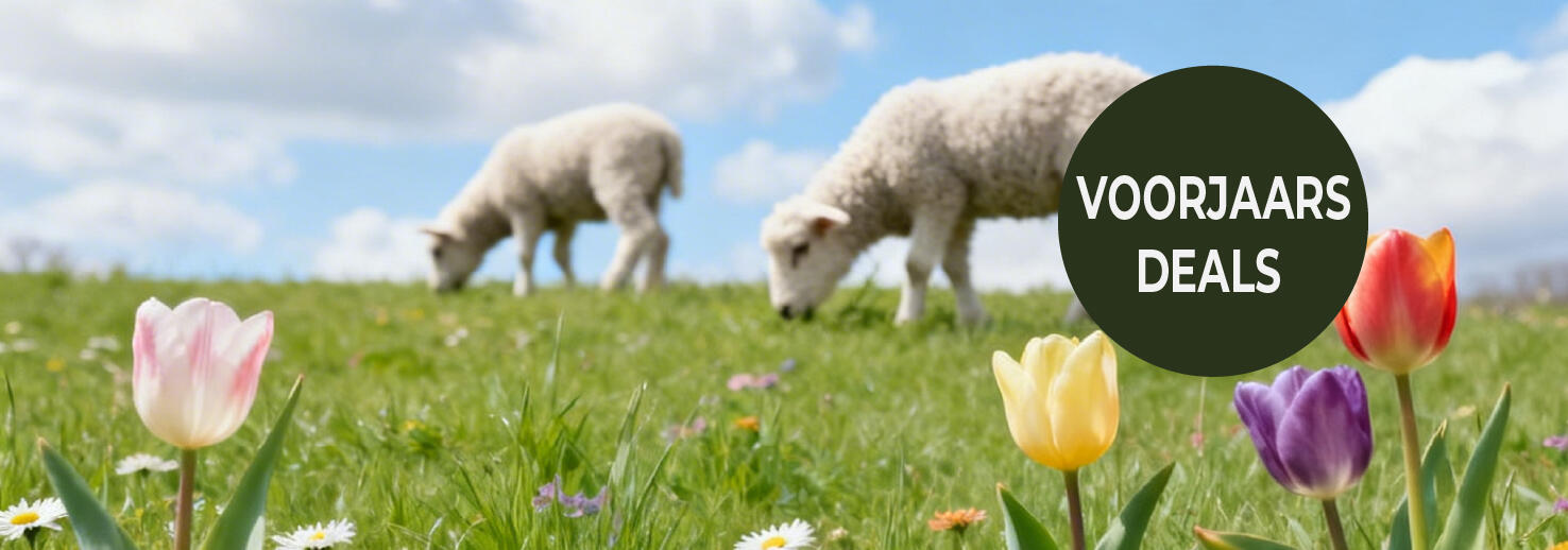 Lente achtergrond met voorjaarsdeals