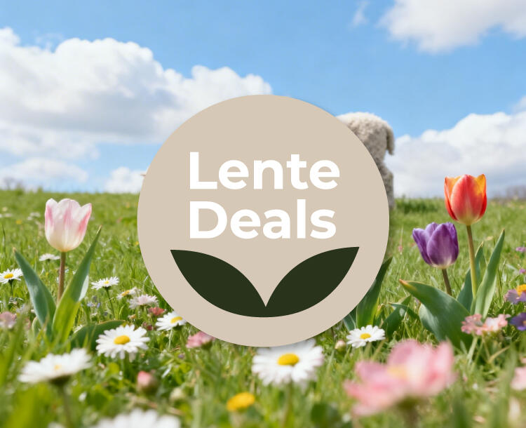 Lente achtergrond met lente deals