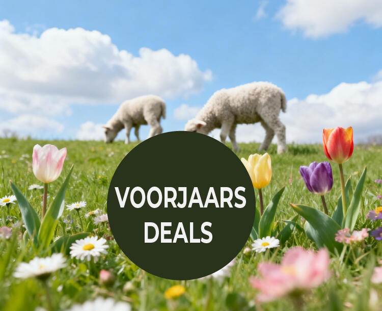Lente achtergrond met voorjaarsdeals