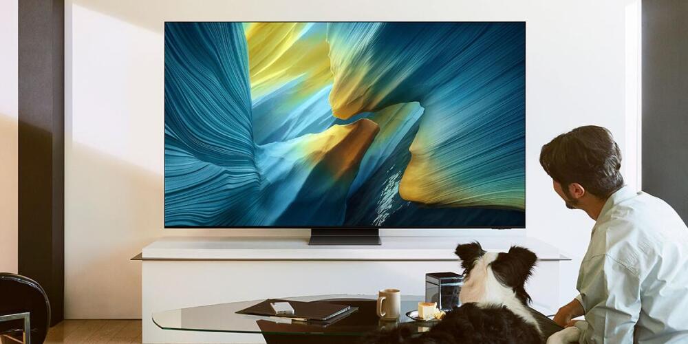 Man en hond kijken naar een grote flatscreen-tv met kleurrijke afbeelding in moderne woonkamer.