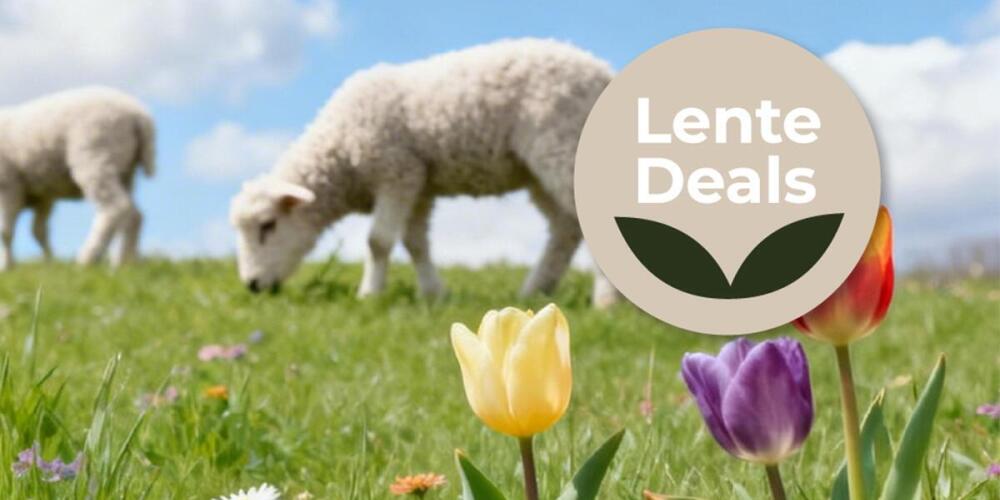 Schapen grazen in een weiland met tulpen en een cirkel met de tekst "Lente Deals".