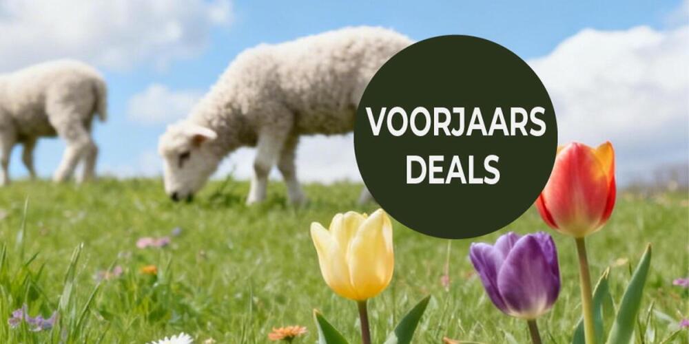 Schapen in een grasveld met tulpen en de tekst "VOORJAARS DEALS" in een cirkel.